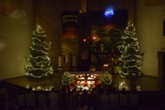 DSC_0520