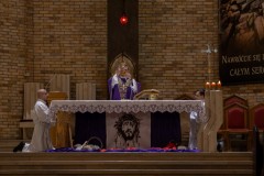IMG_8547